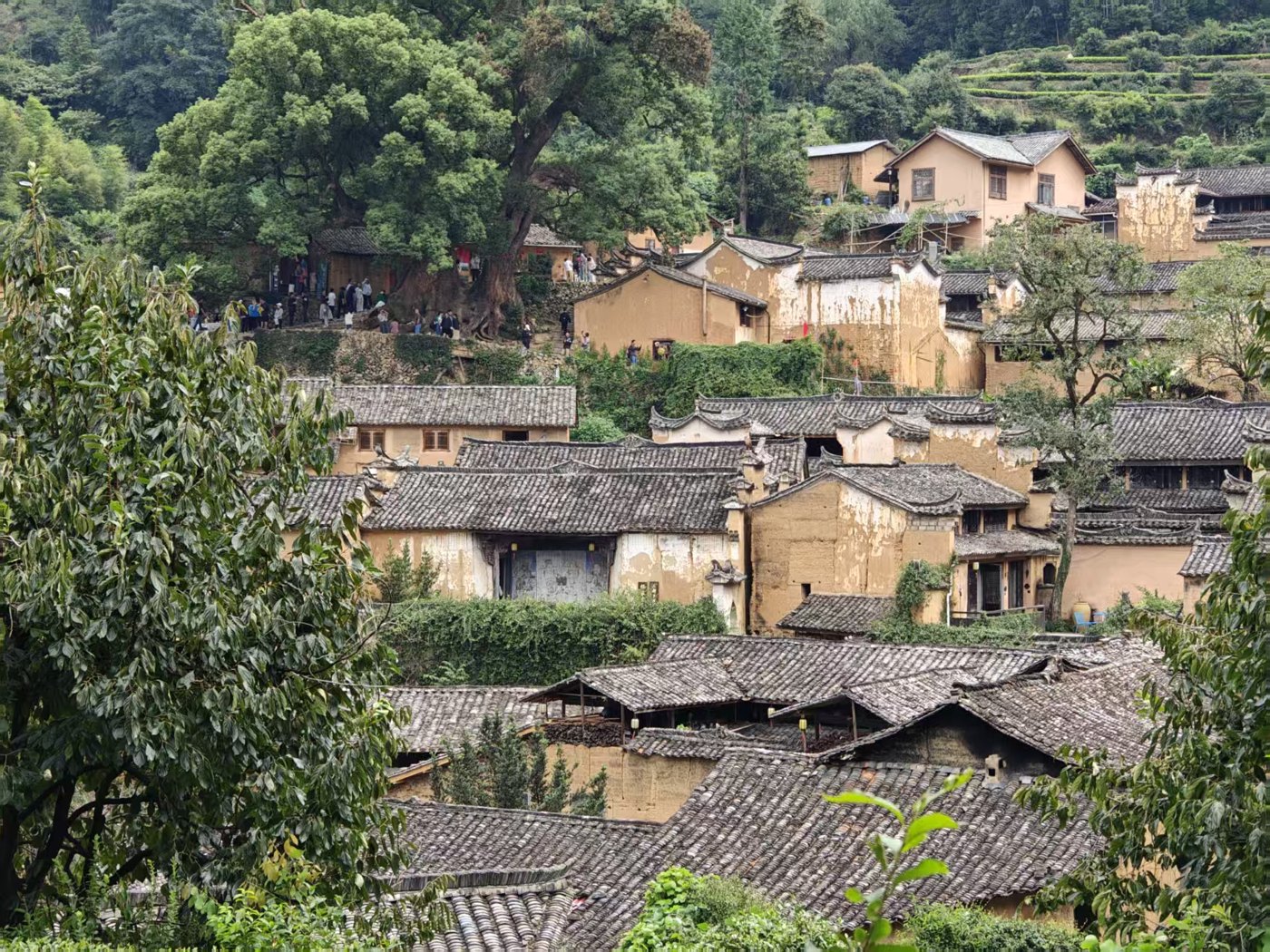Yangjiatang village, Songyang, photographed in October 2024.